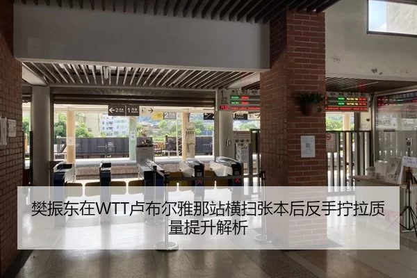 樊振东在WTT卢布尔雅那站横扫张本后反手拧拉质量提升解析