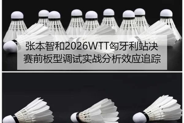 张本智和2026WTT匈牙利站决赛前板型调试实战分析效应追踪