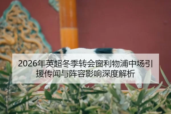 nian-ying-chao-dong-ji-zhuan-hui-chuang-li-wu-pu-zhong-chang-yin-yuan-chuan-wen-yu-zhen-rong-ying-xiang-shen-du-jie-xi-2-303.jpg
