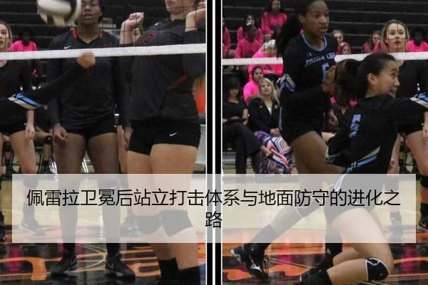 佩雷拉卫冕后站立打击体系与地面防守的进化之路
